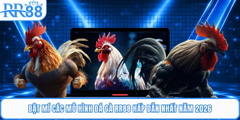 Bật mí các mô hình đá gà RR88 hấp dẫn nhất năm 2026