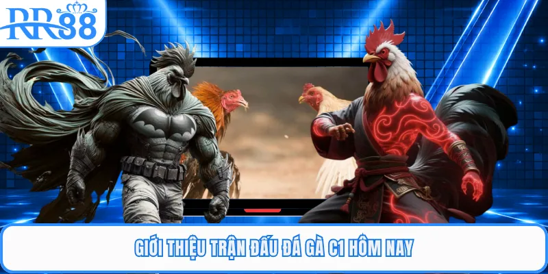 Giới thiệu trận đấu đá gà C1 hôm nay