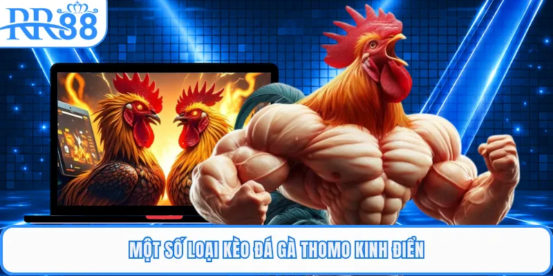 Một số loại kèo đá gà Thomo kinh điển