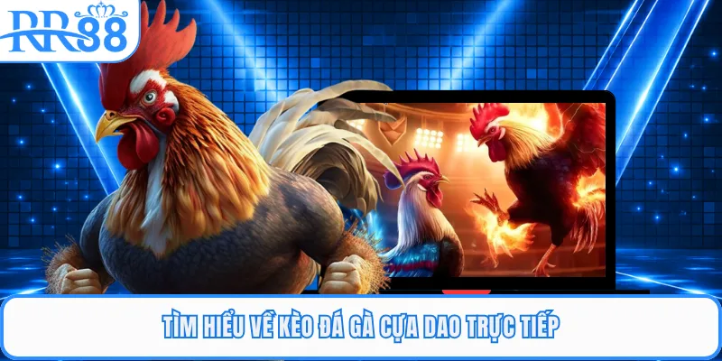 Tìm hiểu về kèo đá gà cựa dao trực tiếp