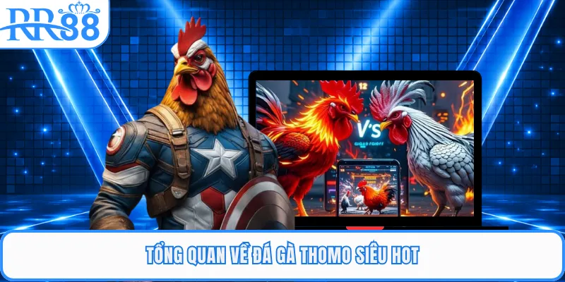 Tổng quan về đá gà Thomo siêu hot
